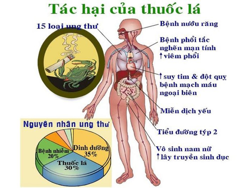 tác của thuốc lá với bệnh phổi tắc nghẽn mãn tính