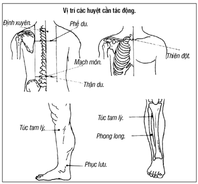 điều trị hen suyễn theo đông y