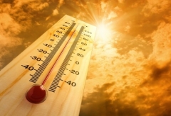 Tiết trường hạ và những sai lầm cần tránh khi dưỡng sinh ngày nắng nóng